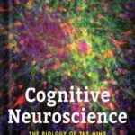 خرید و دانلود نسخه کامل کتاب Cognitive Neuroscience: The Biology of the Mind (Fifth Edition) 5th Edition by Michael Gazzaniga PDF