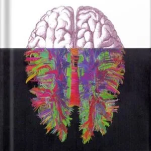 خرید و دانلود نسخه کامل کتاب Networks of the Brain by Olaf Sporns PDF