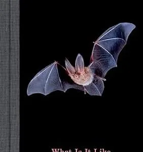 خرید و دانلود نسخه کامل کتاب What Is It Like to Be a Bat?