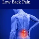 خرید و دانلود نسخه کامل کتاب زبان اصلی Layman’s Guide to Low Back Pain (The Layman’s Guide to…) PDF | دانلود کتاب خارجی