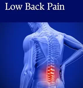 خرید و دانلود نسخه کامل کتاب زبان اصلی Layman’s Guide to Low Back Pain (The Layman’s Guide to…) PDF | دانلود کتاب خارجی