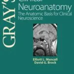 خرید و دانلود نسخه کامل کتاب Gray’s Clinical Neuroanatomy: The Anatomic Basis for Clinical Neuroscience (Gray’s Anatomy) 1st Edition