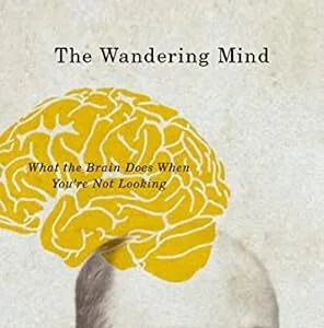خرید و دانلود نسخه کامل کتاب The Wandering Mind: What the Brain Does When You’re Not Looking