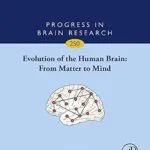 خرید و دانلود نسخه کامل کتاب Evolution of the Human Brain: From Matter to Mind (Progress in Brain Research Book 250)