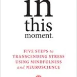 خرید و دانلود نسخه کامل کتاب In This Moment: Five Steps to Transcending Stress Using Mindfulness and Neuroscience Kindle Edition