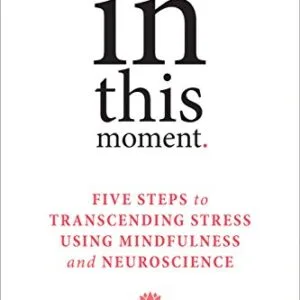 خرید و دانلود نسخه کامل کتاب In This Moment: Five Steps to Transcending Stress Using Mindfulness and Neuroscience Kindle Edition