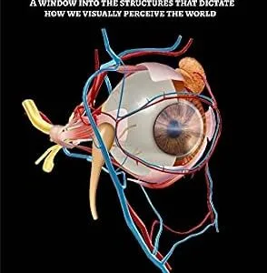 خرید و دانلود نسخه کامل کتاب The Anatomy of The Human Eye Explained: A window into the structures that dictate how we visually perceive the world