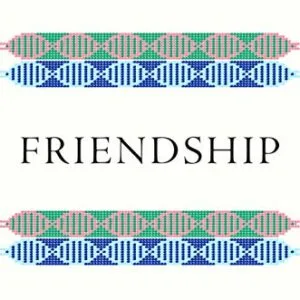 خرید و دانلود نسخه کامل کتاب Friendship: The Evolution, Biology, and Extraordinary Power of Life’s Fundamental Bond Kindle Edition