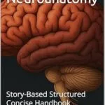 خرید و دانلود نسخه کامل کتاب Clinical Neuroanatomy : Story-Based Structured Concise Handbook