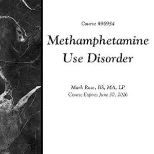 خرید و دانلود نسخه کامل کتاب Methamphetamine Use Disorder