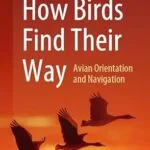 خرید و دانلود نسخه کامل کتاب How Birds Find Their Way: Avian Orientation and Navigation