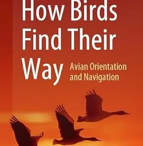 خرید و دانلود نسخه کامل کتاب How Birds Find Their Way: Avian Orientation and Navigation