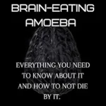 خرید و دانلود نسخه کامل کتاب The Brain-Eating Amoeba: Everthing you need to know about it and how to not die by it.