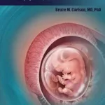 خرید و دانلود نسخه کامل کتاب The Abortion Controversy: An Embryologist’s Perspective