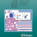 خرید و دانلود نسخه کامل کتاب Manual Washington de hematopatología (Spanish Edition)