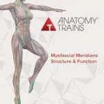 خرید و دانلود نسخه کامل کتاب Anatomy Trains Myofascial Meridians Structure & Function: Study Guide