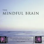 خرید و دانلود نسخه کامل کتاب The Mindful Brain: Reflection and Attunement in the Cultivation of Well-Being (Norton Series on Interpersonal Neurobiology) Kindle Edition