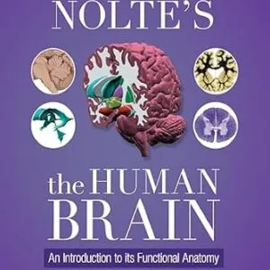 خرید و دانلود نسخه کامل کتاب Nolte’s The Human Brain – E-BOOK
