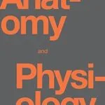 خرید و دانلود نسخه کامل کتاب Anatomy and Physiology