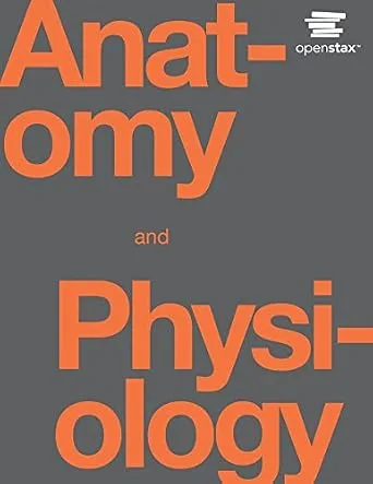خرید و دانلود نسخه کامل کتاب Anatomy and Physiology_6a77b55b43a6e.jpeg خرید و دانلود نسخه کامل کتاب Anatomy and Physiology