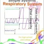 خرید و دانلود نسخه کامل کتاب Respiratory System: Anatomy and Physiology Simple Systems