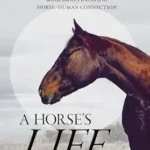 خرید و دانلود نسخه کامل کتاب A Horse’s Life: The Neuroscience of Equine Welfare