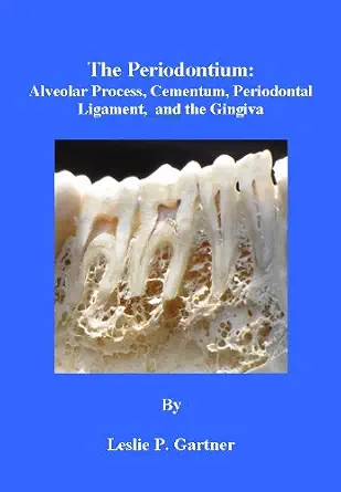 خرید و دانلود نسخه کامل کتاب The Periodontium: Alveolar Process, Cementum, Periodontal Ligament, and the Gingiva_6a6856c167edd.webp خرید و دانلود نسخه کامل کتاب The Periodontium: Alveolar Process, Cementum, Periodontal Ligament, and the Gingiva