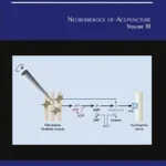 خرید و دانلود نسخه کامل کتاب Neurobiology of Acupuncture (International Review of Neurobiology Book 111) (Volume 111)