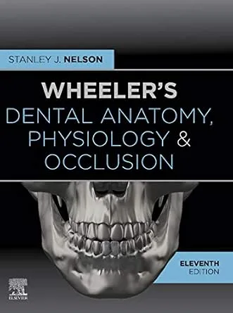 خرید و دانلود نسخه کامل کتاب Wheeler’s Dental Anatomy, Physiology and Occlusion – E-Book_6a77606924db8.jpeg خرید و دانلود نسخه کامل کتاب Wheeler’s Dental Anatomy, Physiology and Occlusion – E-Book