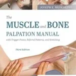 خرید و دانلود نسخه کامل کتاب The Muscle and Bone Palpation Manual with Trigger Points, Referral Patterns and Stretching – E-Book 3rd Edition
