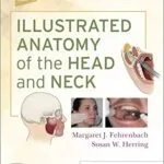 خرید و دانلود نسخه کامل کتاب Illustrated Anatomy of the Head and Neck E-Book 6th Edition