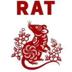خرید و دانلود نسخه کامل کتاب YEAR OF THE RAT: Disease, Deception, and Discovery in Paradise. A Memoir