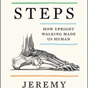 خرید و دانلود نسخه کامل کتاب First Steps: How Upright Walking Made Us Human Kindle Edition