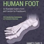 خرید و دانلود نسخه کامل کتاب Understanding the Human Foot: An Illustrated Guide to Form and Function for Practitioners