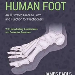 خرید و دانلود نسخه کامل کتاب Understanding the Human Foot: An Illustrated Guide to Form and Function for Practitioners