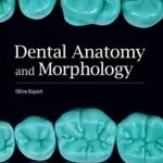 خرید و دانلود نسخه کامل کتاب Dental Anatomy and Morphology 1st Edition
