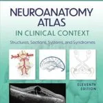 خرید و دانلود نسخه کامل کتاب Neuroanatomy Atlas in Clinical Context: Structures, Sections, Systems, and Syndromes