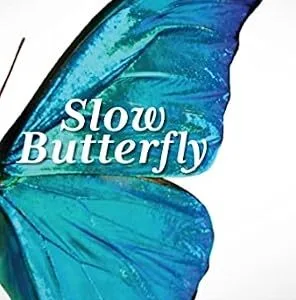 خرید و دانلود نسخه کامل کتاب Slow Butterfly: How Healing Your Thyroid Transforms Everything