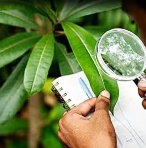 خرید و دانلود نسخه کامل کتاب Sustainable Horizons