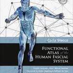 خرید و دانلود نسخه کامل کتاب Functional Atlas of the Human Fascial System 1st Edition