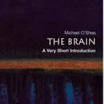 خرید و دانلود نسخه کامل کتاب The Brain: A Very Short Introduction (Very Short Introductions)