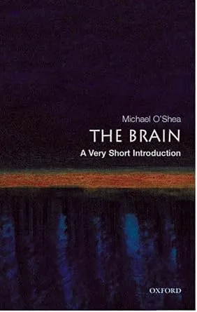 خرید و دانلود نسخه کامل کتاب The Brain: A Very Short Introduction (Very Short Introductions)_6a77b2b8a6bf2.jpeg خرید و دانلود نسخه کامل کتاب The Brain: A Very Short Introduction (Very Short Introductions)