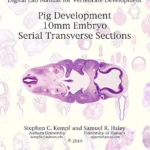 خرید و دانلود نسخه کامل کتاب 10mm Pig Embryo Serial Transverse Sections: Digital Lab Manual for Vertebrate Development