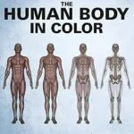خرید و دانلود نسخه کامل کتاب The Human Body In Color Volume 2