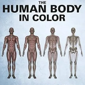 خرید و دانلود نسخه کامل کتاب The Human Body In Color Volume 2