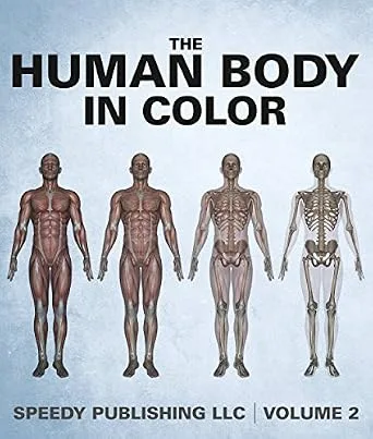 خرید و دانلود نسخه کامل کتاب The Human Body In Color Volume 2_6a7c1720b6d9e.jpeg خرید و دانلود نسخه کامل کتاب The Human Body In Color Volume 2