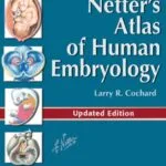 خرید و دانلود نسخه کامل کتاب Netter’s Atlas of Human Embryology E-Book: Updated Edition (Netter Basic Science) 1st Edition