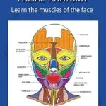 خرید و دانلود نسخه کامل کتاب FACIAL ANATOMY : Learn the muscles of the face