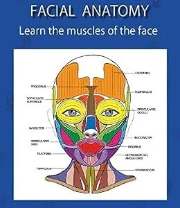 خرید و دانلود نسخه کامل کتاب FACIAL ANATOMY : Learn the muscles of the face