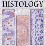 خرید و دانلود نسخه کامل کتاب An Atlas of Histology